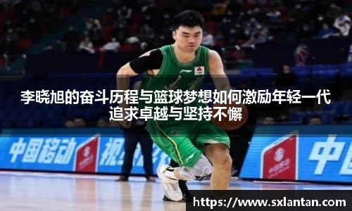 bsports官网入口